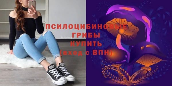 эйфоретик Алексин