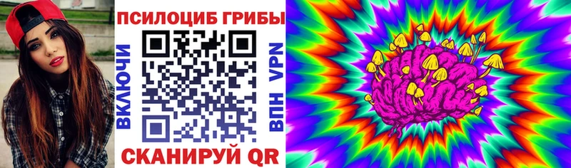 где найти   Ряжск  Псилоцибиновые грибы прущие грибы 